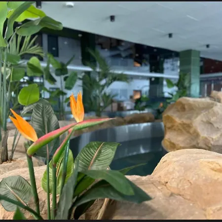 アパート Bel Mare 405 *